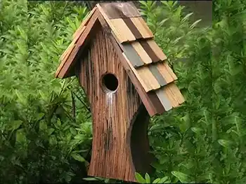 Custom Birdhouse