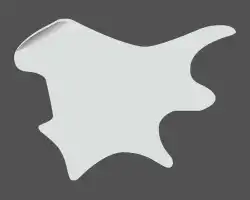 Strandberg Boden Guitar Body