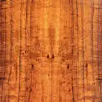 Image of Acacia koa wood (Koa)