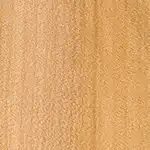 Image of Acer platanoides wood (Norway Maple)