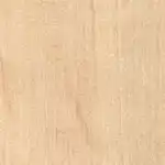 Image of Carpinus betulus wood (Hornbeam)