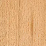 Image of Fagus sylvatica wood (Beech)