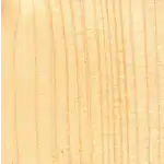 Image of Picea abies wood (Norway Spruce)