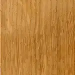 Image of Quercus robur wood (Pedunculate Oak)